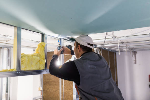 Best Attic Insulation Installation  in East Rochester, NY