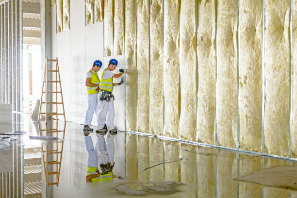 Best Home Insulation Services  in East Rochester, NY